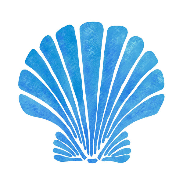 Fistral Blue Scallop Shell Art Print - 20cm & 30cm Square