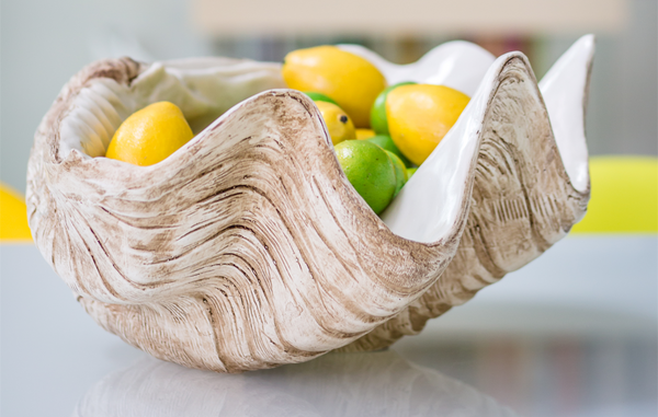 Large Resin Clam shell - Home Decor-Accessories- Cream Cornwall
