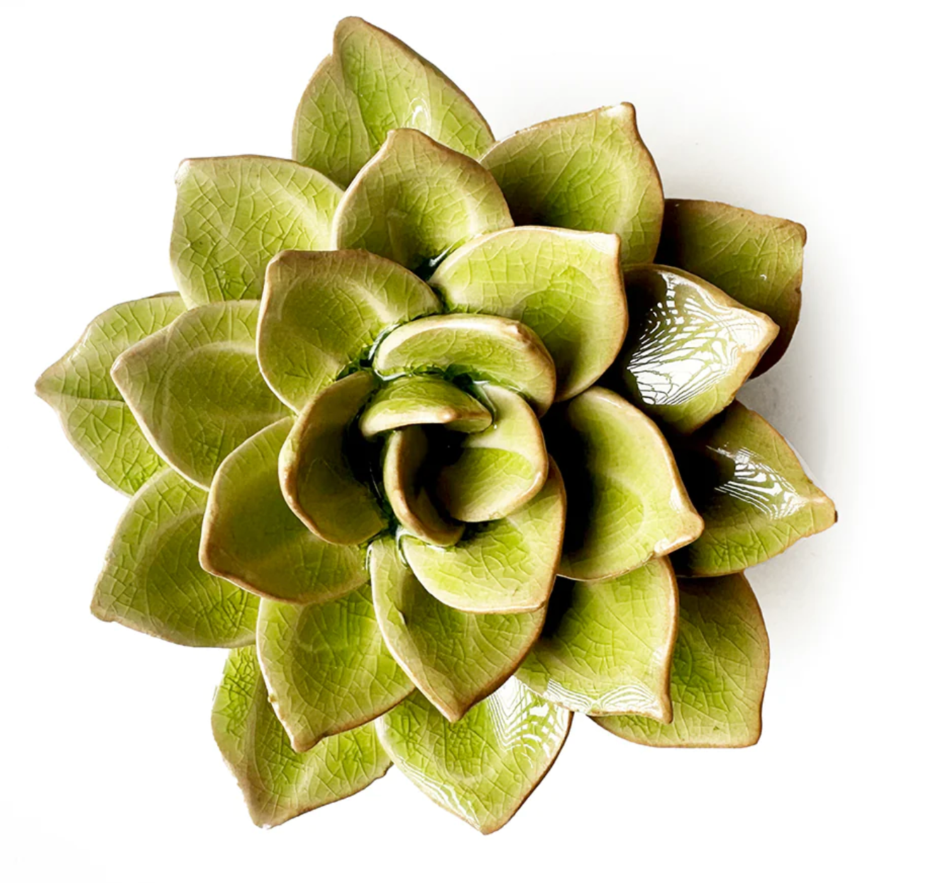 Green Succulent Ceramic Flower