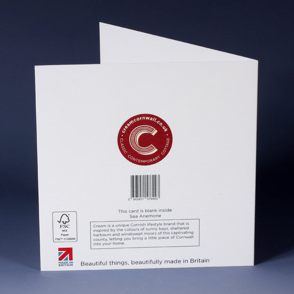 back of white greeting card with barcode, desciption and red cream cornwall logo standing on an ombre blue paper background