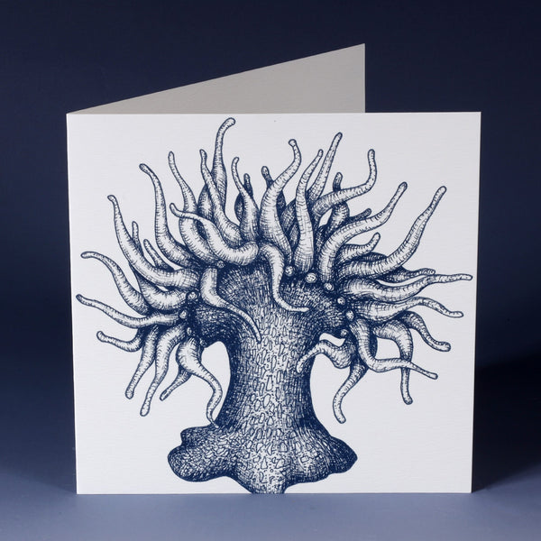 white greeting card with navy illustration of a sea anemone standing on an ombre blue paper background