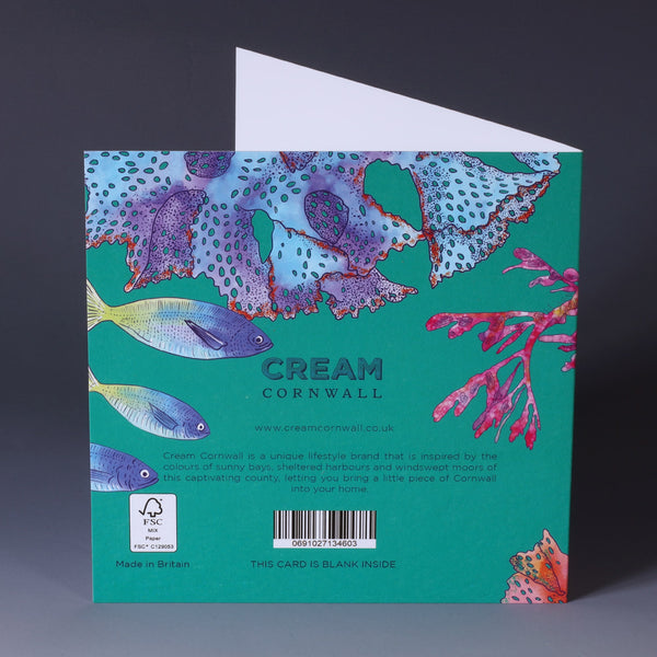 back of brightly coloured greeting card with illustrations of nudibranch, sea slug tropical fish and coral on a jade coloured background