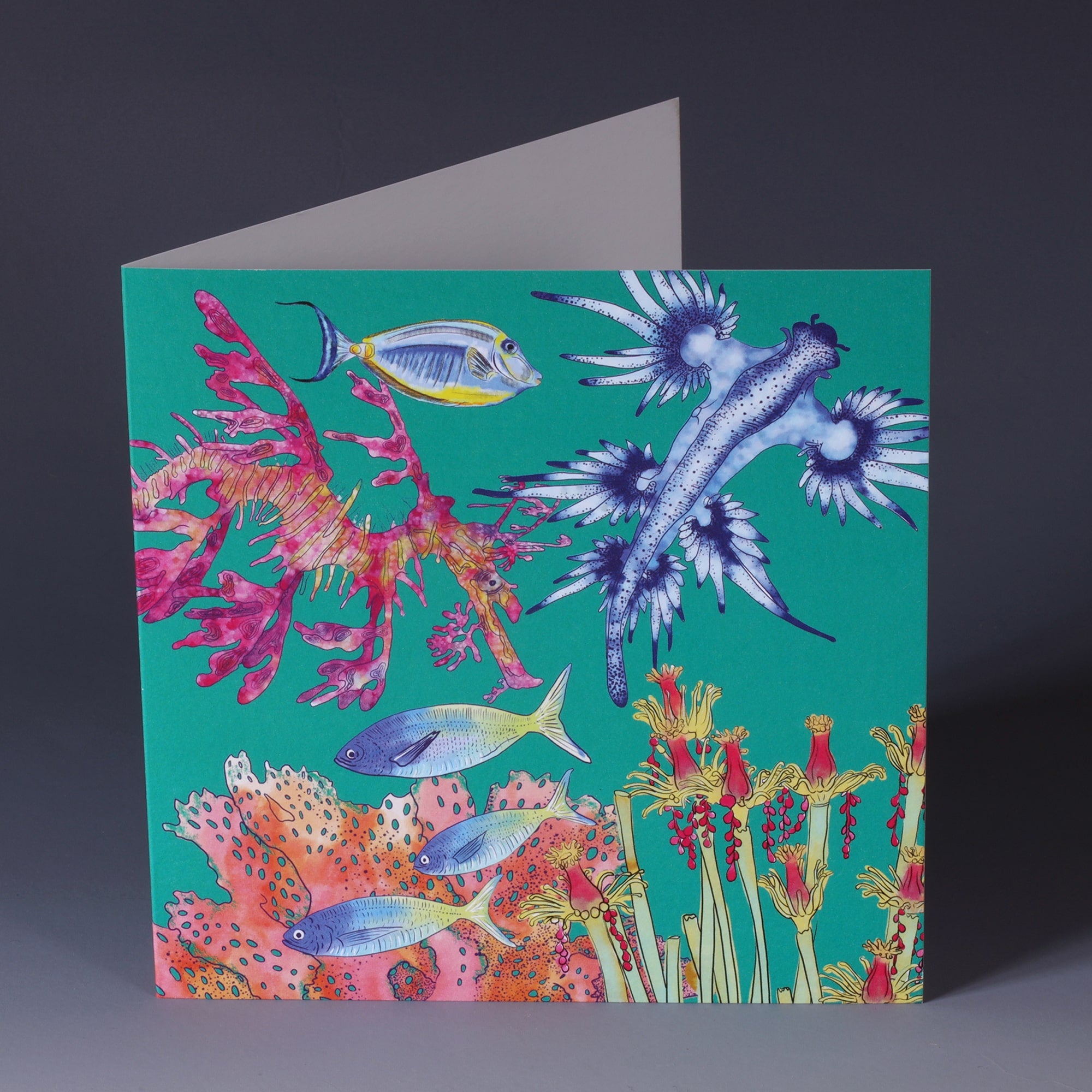 brightly coloured greeting card with illustrations of nudibranch, sea slug tropical fish and coral on a jade coloured background
