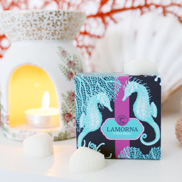 box decorated with turquoise seahorses, anemones and coral on a navy ground with a cerise band running around the middle with 2 wax melts in front of the box in the shape of a shell, with an oil burner, shells and coral blurred in the background with the golden glow of a tea light flame