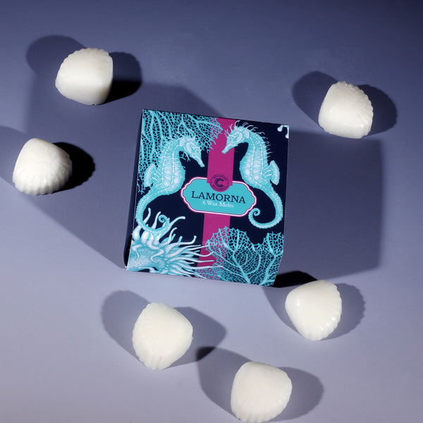 box decorated with seahorse, anemone and coral design in turquoise on a navy box with a cerise band running around the middle, with 6 wax melts int he shape of shells around the box and sitting on a blue ombre ground
