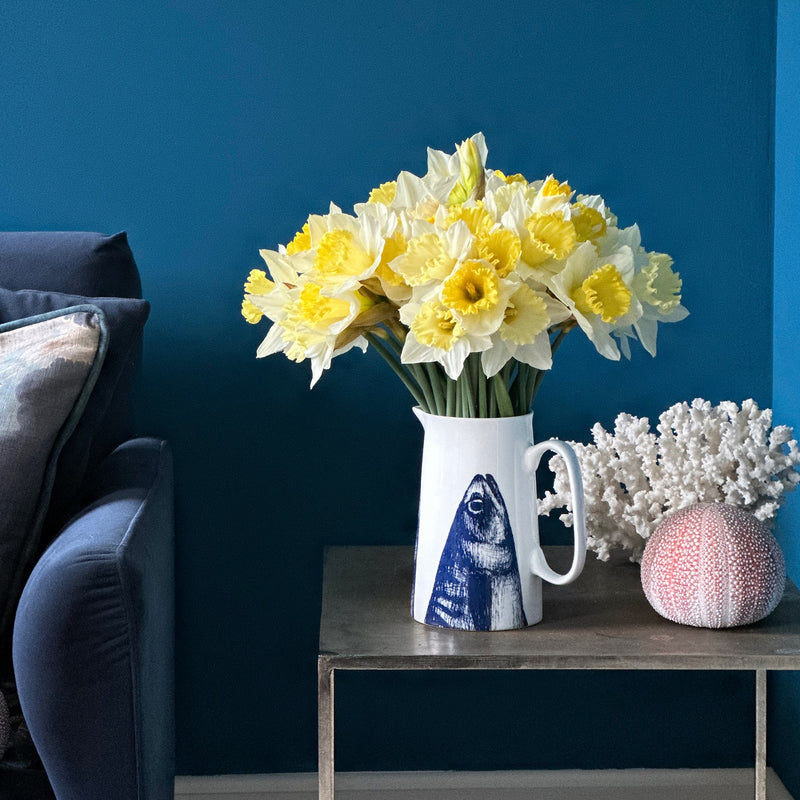 White bone china jug with filled with lovely soft yellow daffodils, sitting on a metal table with coral & sea urchin. The walls behind are painted a deep teal and you can just see the arm of a dark navy sofa next to the table.
