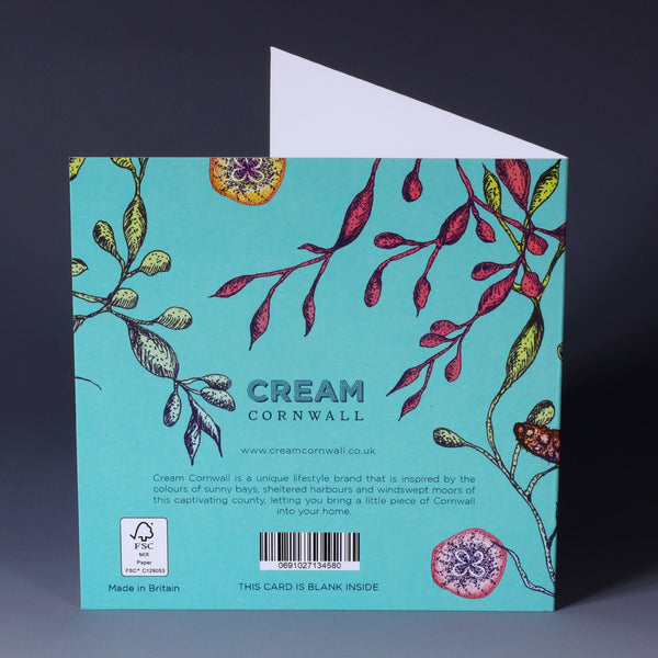 back of brightly coloured illustrated greeting card with seahorse, seaweeds, baby jellyfish and starfish on an aqua coloured background