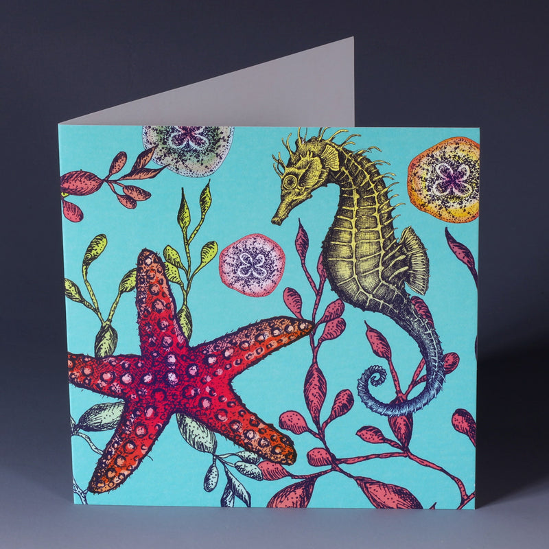 brightly coloured illustrated greeting card with seahorse, seaweeds, baby jellyfish and starfish on an aqua coloured background