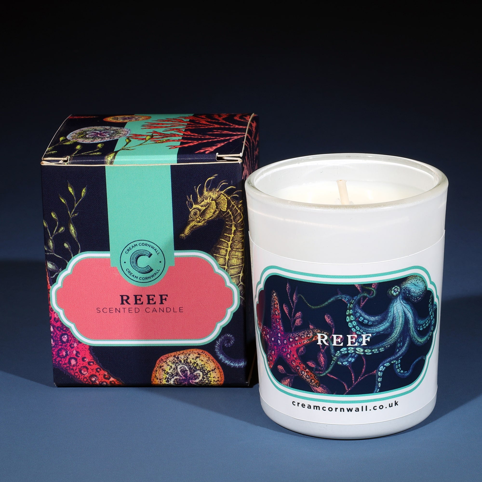 Small candle in white glass votive with colourful sea creature on the front, sitting on a graduated blue background next to the box it is sold with. the box is a dark blue with colourful sea creatures on it and is called Reef.