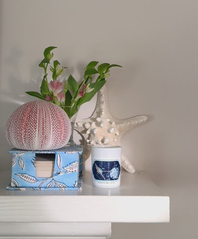 Small candle in white votive with sea shells and seaweed sticker on a shelf with sea urchin flowers and starfish. The candle is being lit with a match.