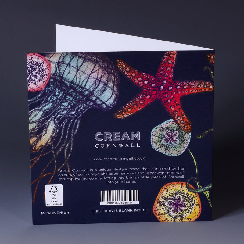 back of brightly coloured greeting card with octopus, starfish seaweed and baby jellyfish on a dark navy background