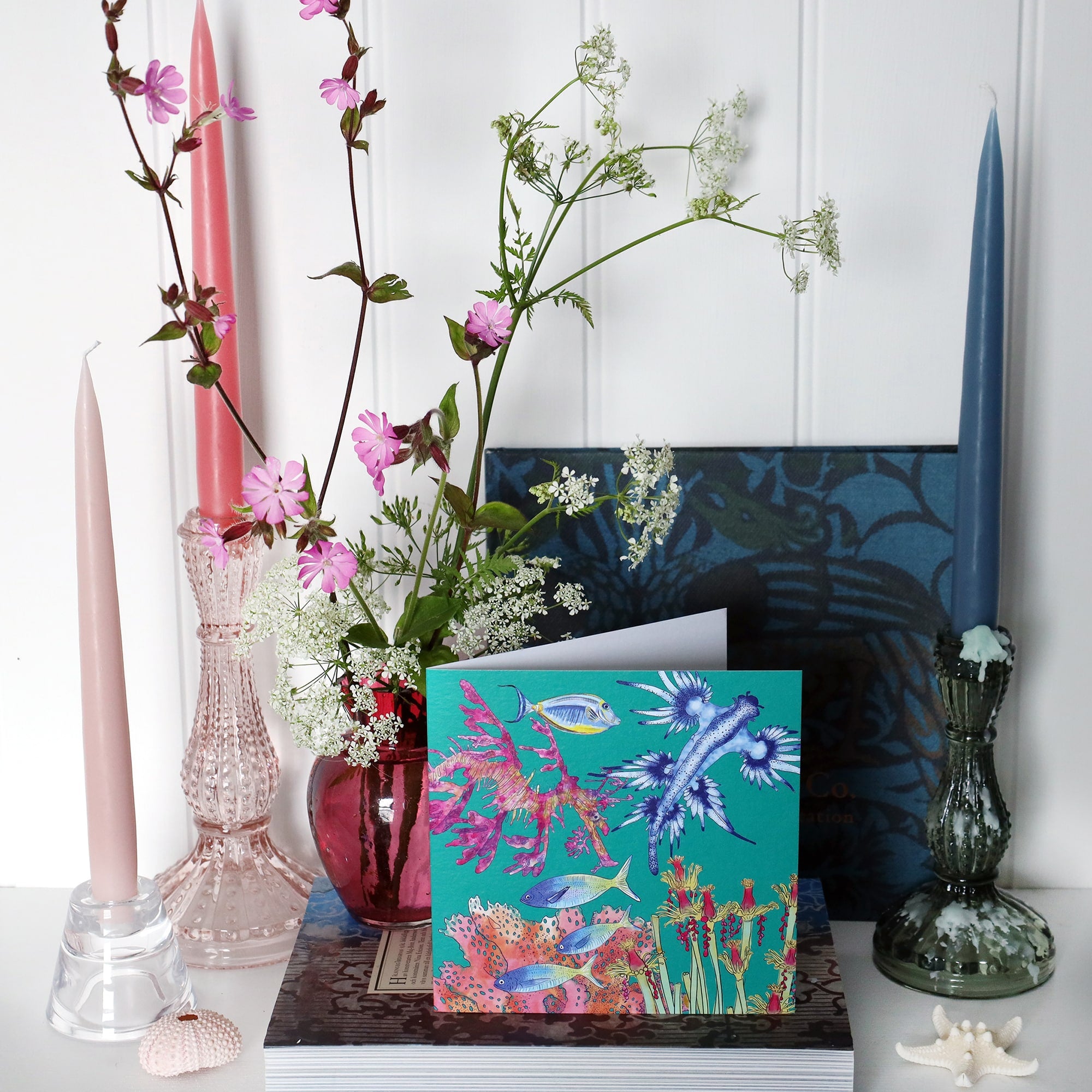 on shelf with pink and blue candles in candlesticks and a small cranberry glass jug with wild flowers in brightly coloured greeting card with illustrations of nudibranch, sea slug tropical fish and coral on a jade coloured background