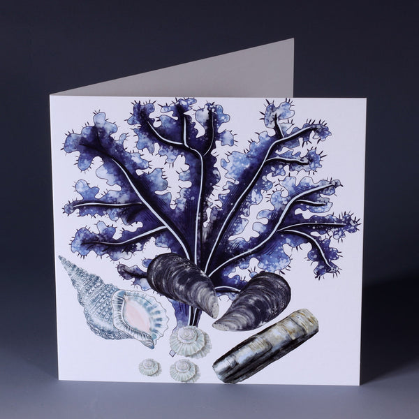 greeting card with illustration of seaweed, mussel and razor shells and beachcombing collections on a white background