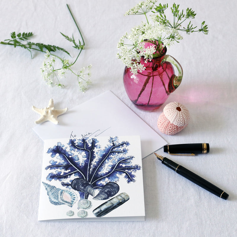 greeting card with illustration of seaweed, mussel and razor shells and beachcombing collections on a white background lying on a white table cloth with a fountain pen, hand written envelope shells and a small cranberry glass jug with wild flowers in 