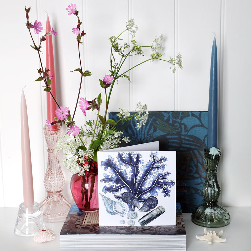 greeting card with illustration of seaweed, sand dollar, starfish and whelk all in blues  on a white background on shelf with pink and blue candles in candlesticks and a small cranberry glass jug with wild flowers in