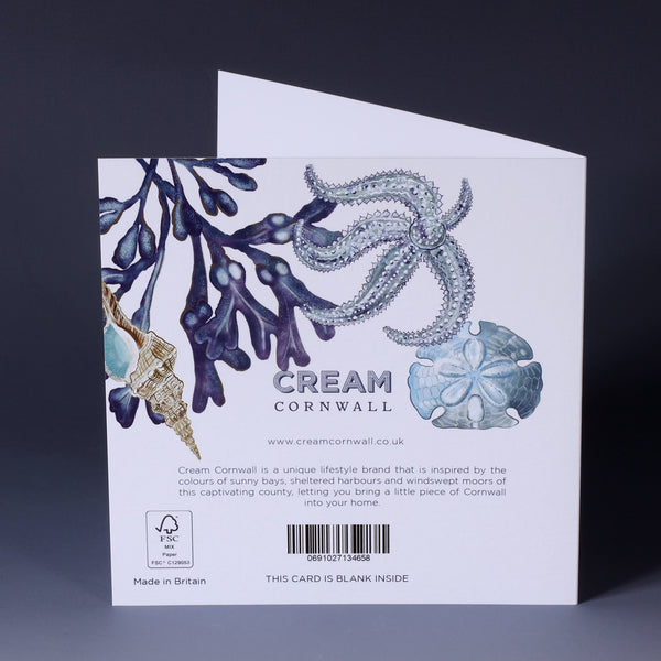 back of xgreeting card with illustration of seaweed, sand dollar, starfish and whelk all in blues  on a white background