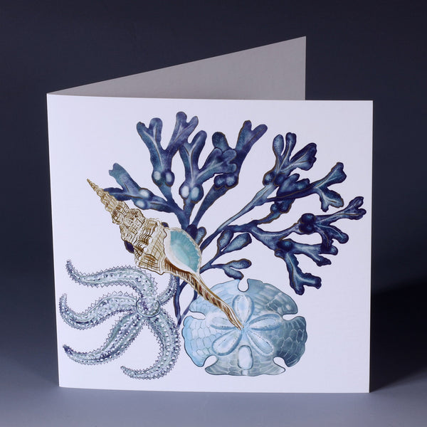 greeting card with illustration of seaweed, sand dollar, starfish and whelk all in blues  on a white background
