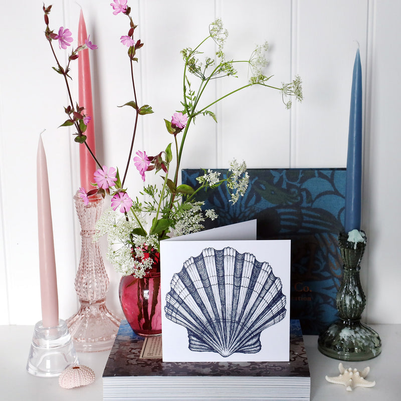 greeting card with navy illustration of a scallop shell on a white background on shelf with pink and blue candles in candlesticks and a small cranberry glass jug with wild flowers in