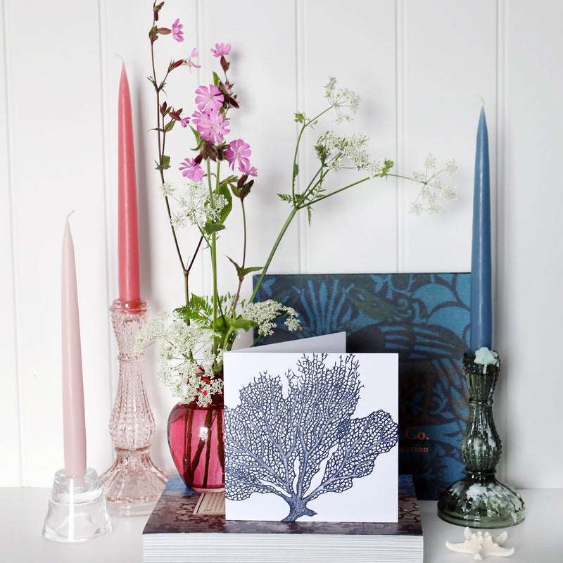 greeting card with navy illustration of a sea fan on a white background on shelf with pink and blue candles in candlesticks and a small cranberry glass jug with wild flowers in