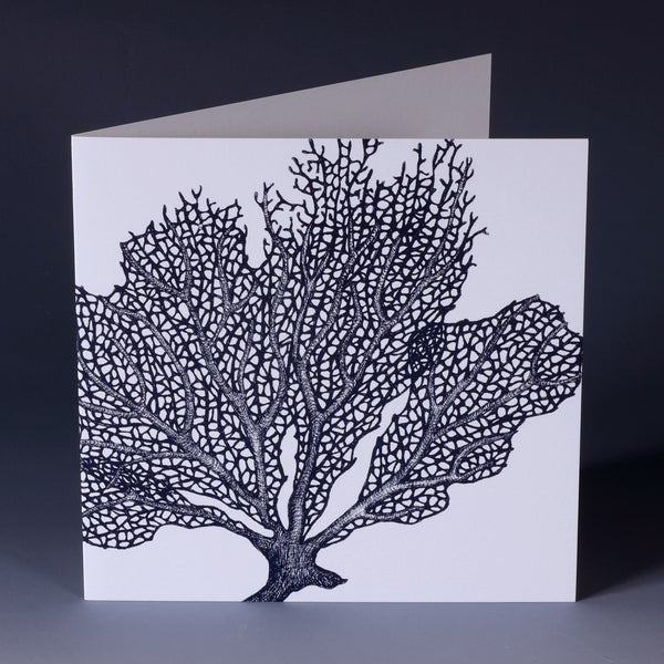 greeting card with navy illustration of a sea fan on a white background