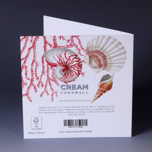 back of greeting card with illustration of seaweed, nautilus, whelk and scallop shells all in pinks  on a white background