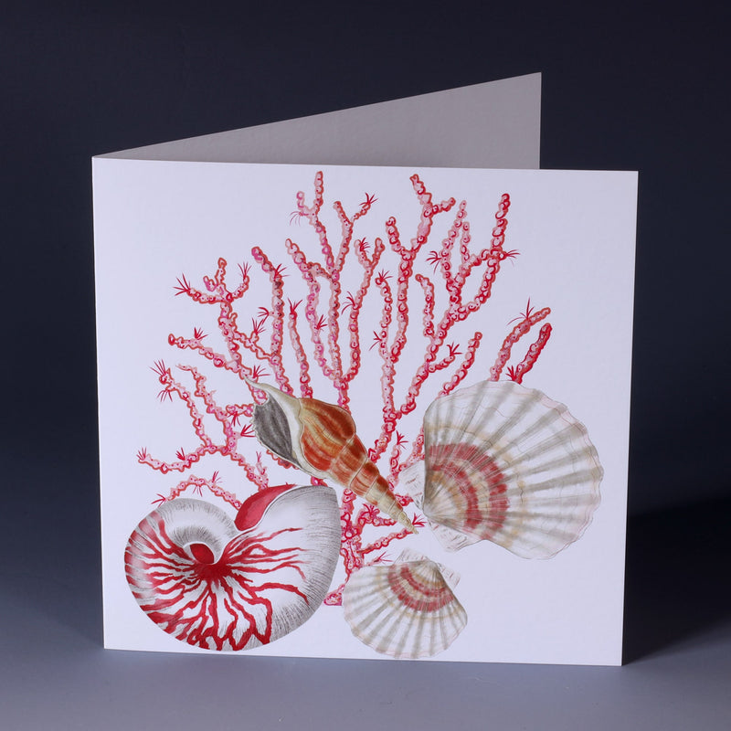 greeting card with illustration of seaweed, nautilus, whelk and scallop shells all in pinks  on a white background