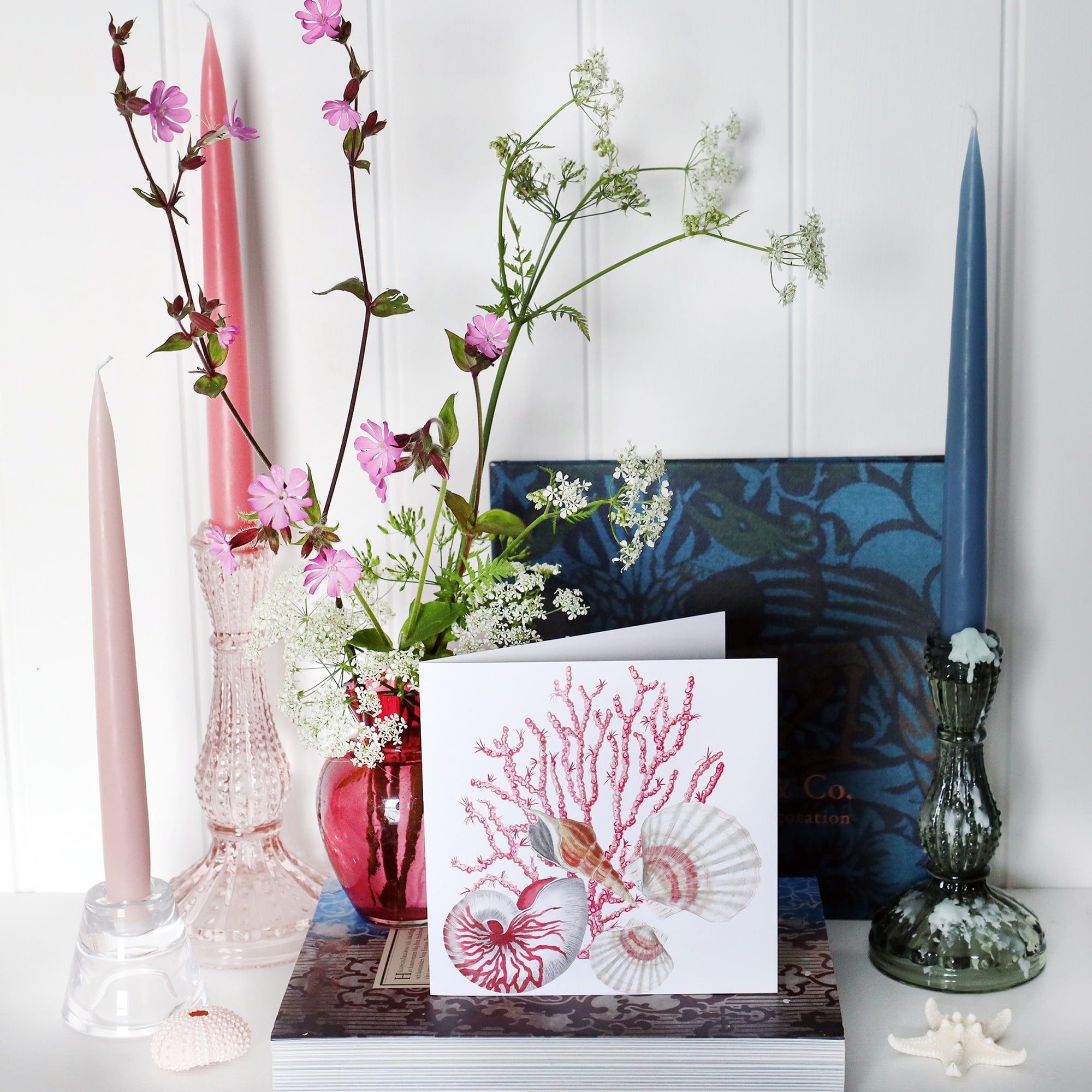 greeting card with illustration of seaweed, nautilus, whelk and scallop shells all in pinks  on a white background on shelf with pink and blue candles in candlesticks and a small cranberry glass jug with wild flowers in