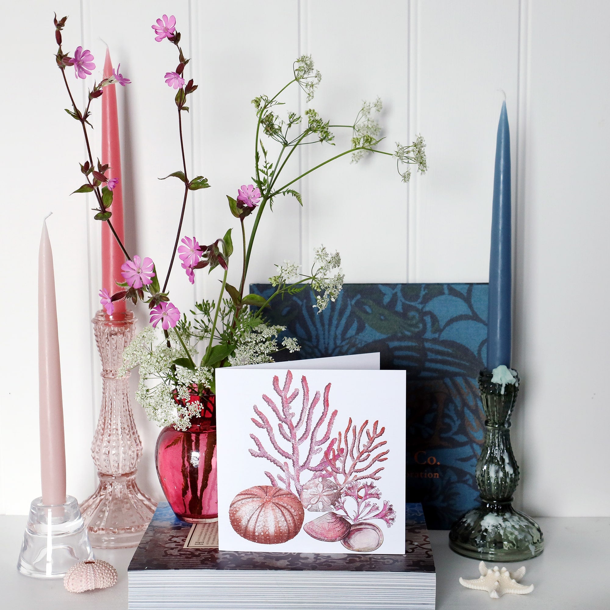 greeting card with illustration of corals, sea urchin, sand dollar and seaweed all in pinks  on a white background on shelf with pink and blue candles in candlesticks and a small cranberry glass jug with wild flowers in