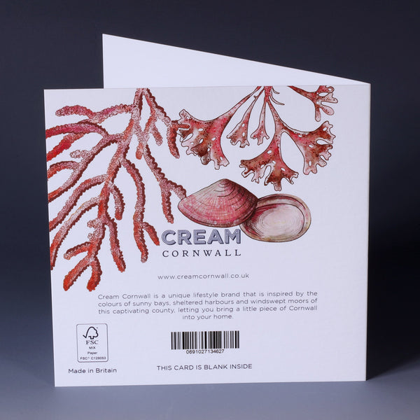 back. of greeting card with illustration of corals, sea urchin, sand dollar and seaweed all in pinks  on a white background