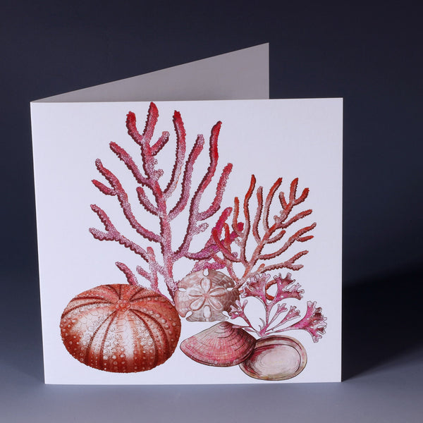 greeting card with illustration of corals, sea urchin, sand dollar and seaweed all in pinks  on a white background