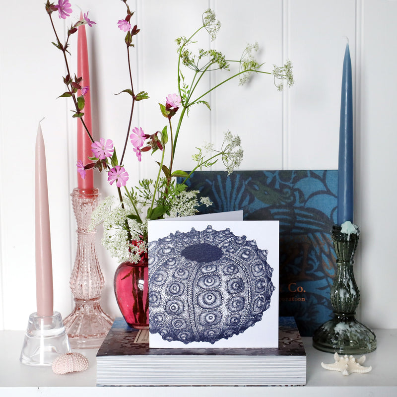 greeting card with nay illustrated sea urchin on white background on shelf with pink and blue candles in candlesticks and a small cranberry glass jug with wild flowers in
