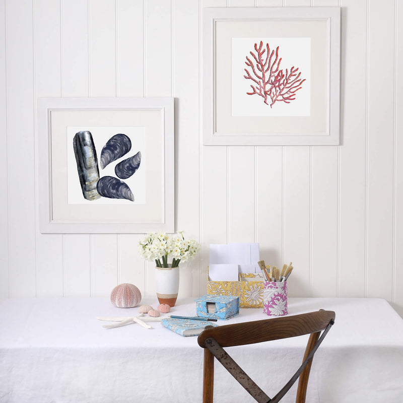 Razor Clam & Mussels Art Print  - 20cm & 30cm Square