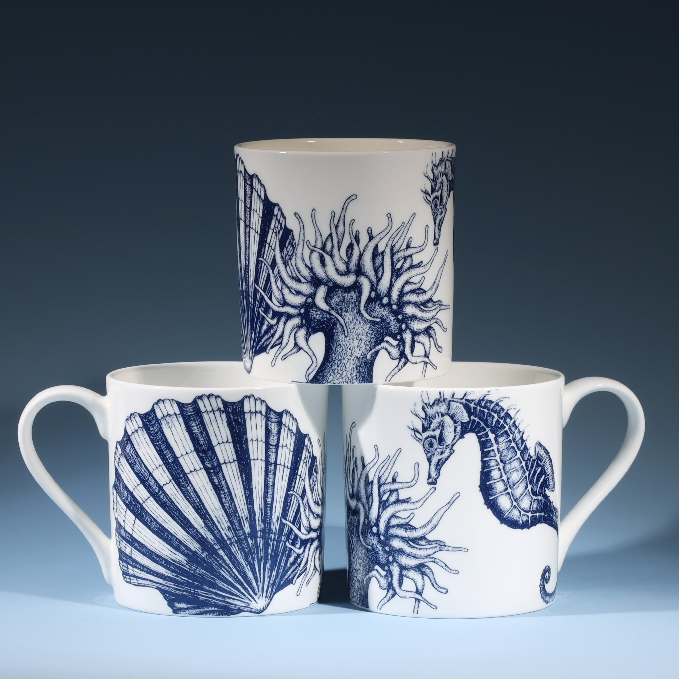 The photo shows Bone china white mug featuring  hand drawn seahorse,scallop shell and anemone design in classic Navy.Three different views of the mug