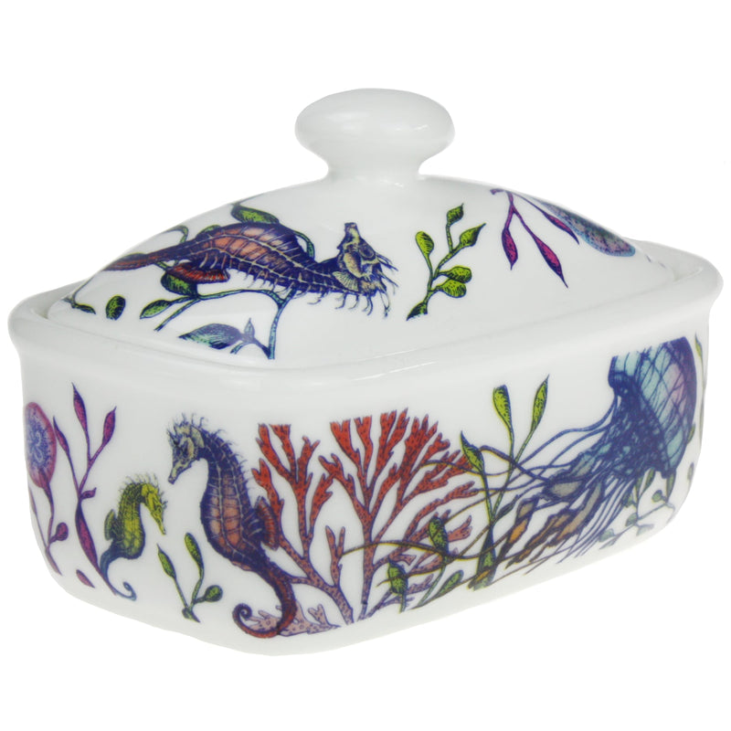 Butter dish in our brightly coloured Reef range,with Octopus,seaweed,seahorses and other sea themed designs all over the base and the lid