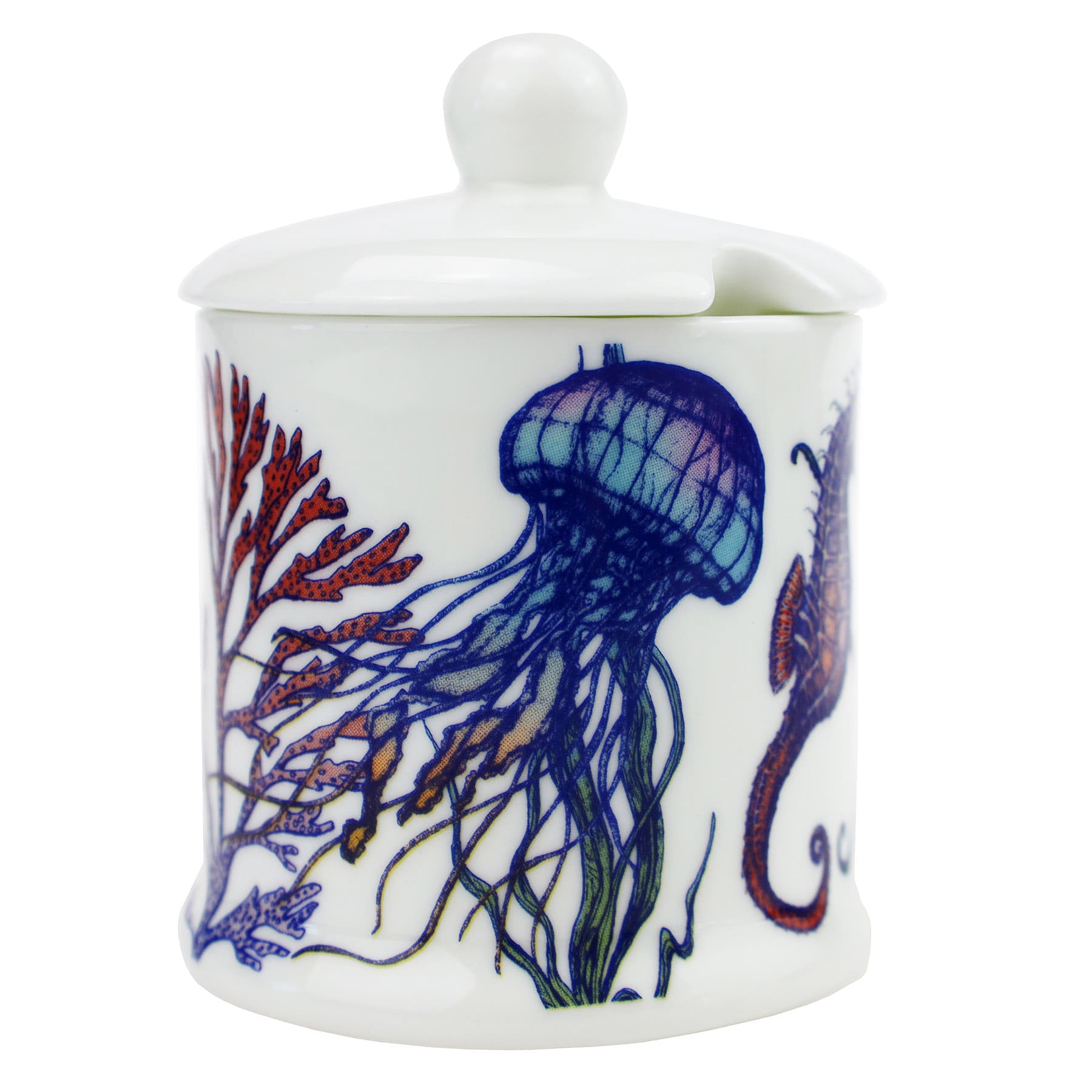 Jam Pot with lid in our bright coloured Reef range with a space in the lid for a tea spoon