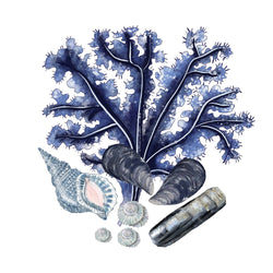 Rockpool Art Print  - 20cm & 30cm Square