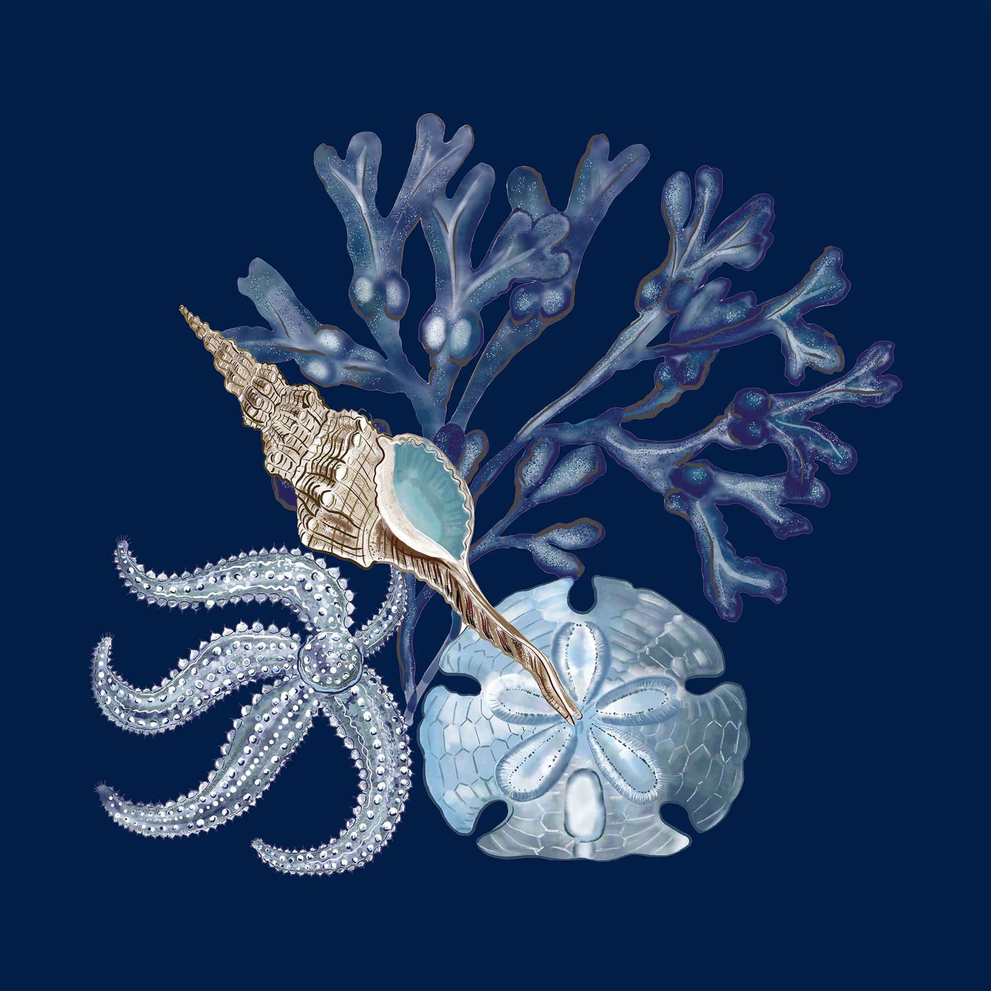 Fistral Blue Scallop Shell Art Print - 20cm & 30cm Square