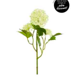 Viburnum Spray