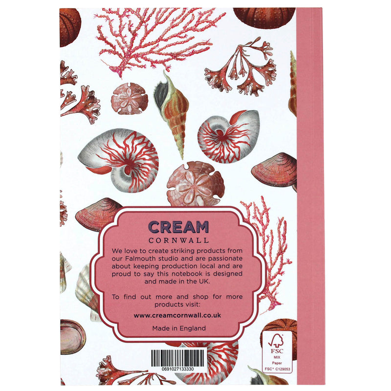 Shell Seeker Notebook -Accessories- Cream Cornwall