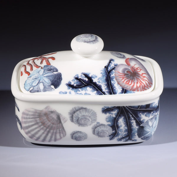 Butter dish in our Beachcomber range,with shells,seaweed and other sea themed designs all over the base and the lid