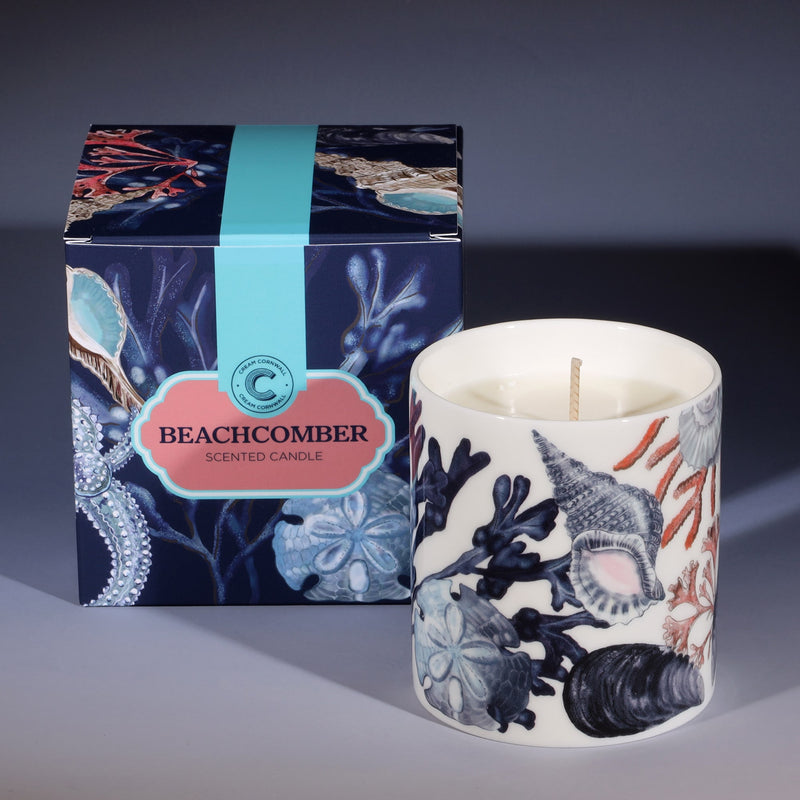 Scented Candle fragrance is jasmine, seasalt and cedarwood, base of musk and wood notes in a candle beaker with seashells and coral.
