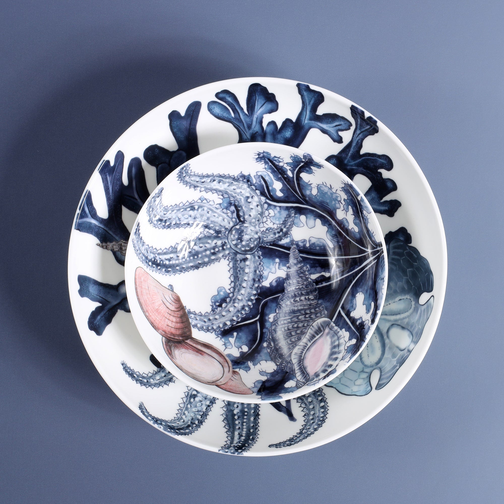 Bone China White bowl with hand drawn illustration of our Beachcomber range decorated with a starfish,seaweed and shells placed inside of a matching Beachcomber pasta bowl