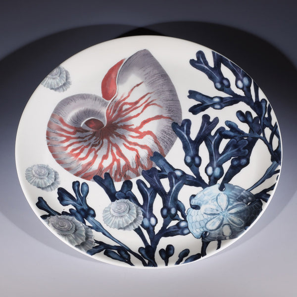 Bone China White Dinner plate with hand drawn illustration of our Beachcomber range decorated with a nautilus shell,seaweed and shells
