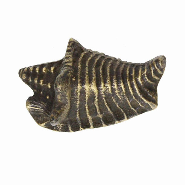 Brass Conch Shell Decorative Handle - Small -Accessories- Cream Cornwall