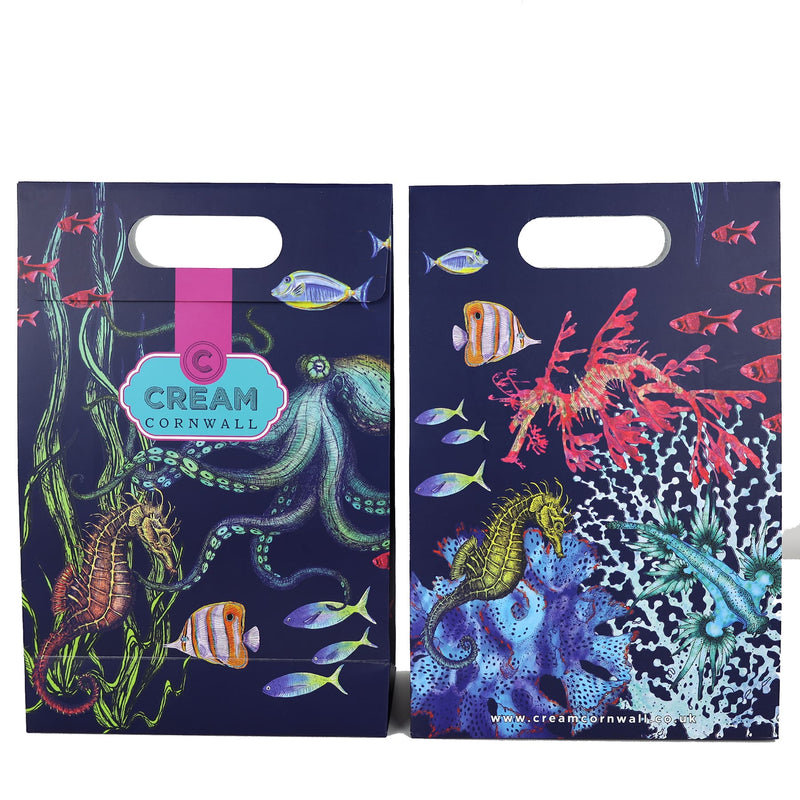 Front and back shot of reef illustrated gift bag- gift and accessories-Cream Cornwall