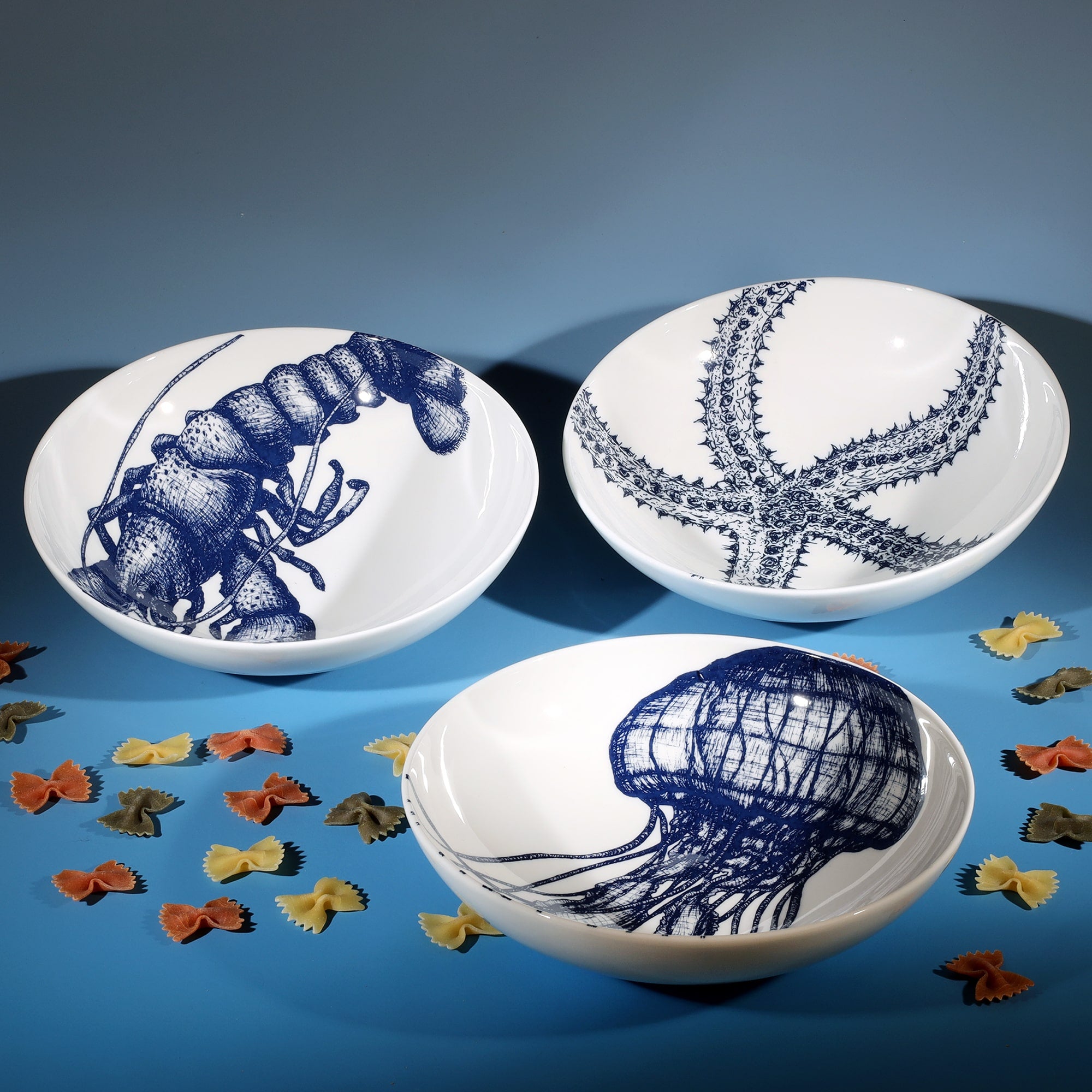 Pasta bowl in Bone China in our Classic range in Navy and white in the Jellyfish design next to a Jellyfish and a Starfish bowl.In between them are several pieces of decorative colourful pasta