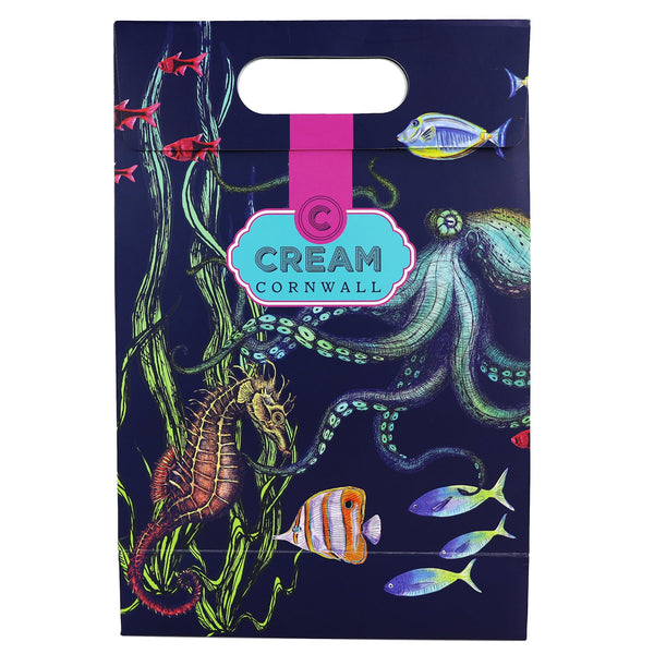 Front shot of reef illustrated gift bag- gift and accessories-Cream Cornwall