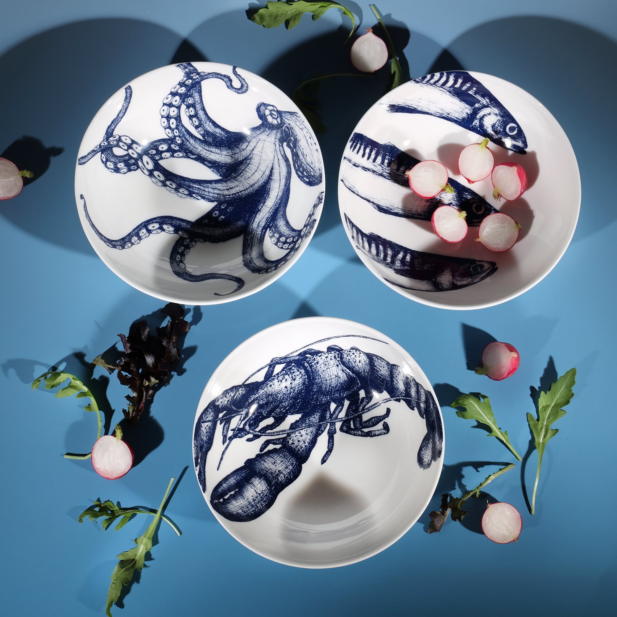 Aerial shot of Bowls in Bone China in our Classic range in Navy and white in the Octopus,Lobster and Mackerel design,inbetween the bowls are some cut radishes