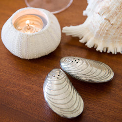 Pewter Mussel Shell Salt & Pepper Shakers  placed on a table with a shell candle holder and shells in the background