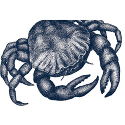 Crab Art Print In Blue On White In Three Sizes - A2, A3 And A4 -Accessories- Cream Cornwall